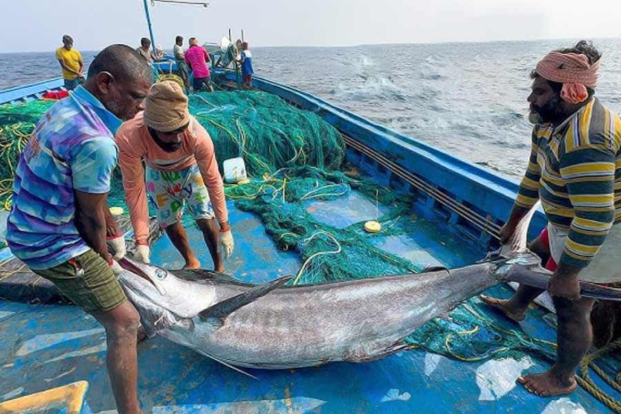 Blue Economy may change India’s fate through deep sea fishing, three phase plan of NITI Aayog 