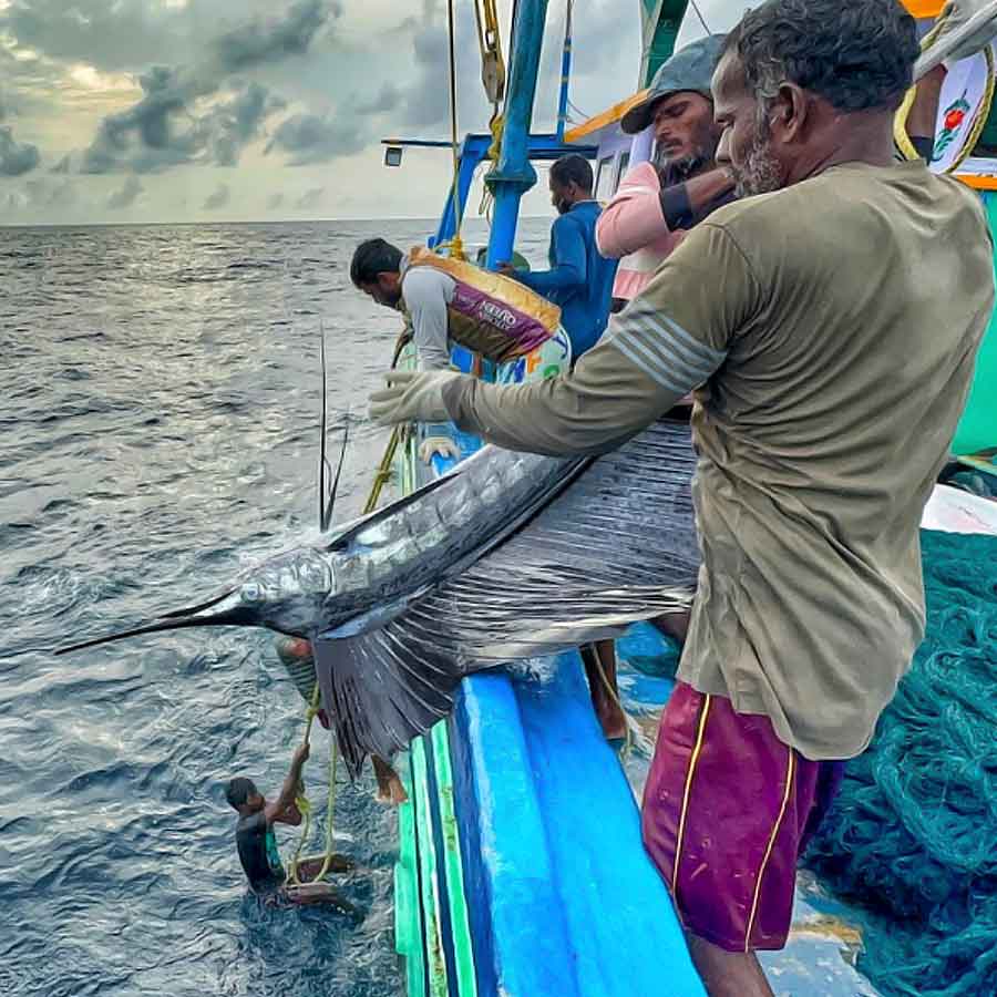 Blue Economy may change India’s fate through deep sea fishing, three phase plan of NITI Aayog