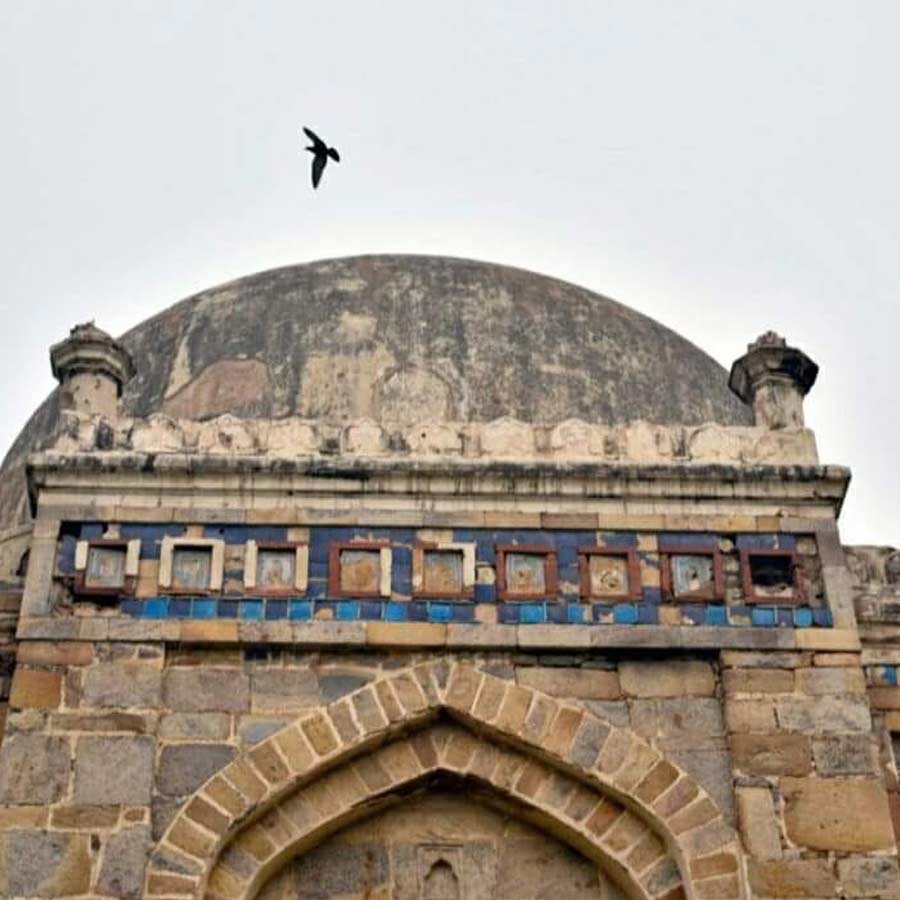 Pranav Lal Became a World-Renowned Photographer