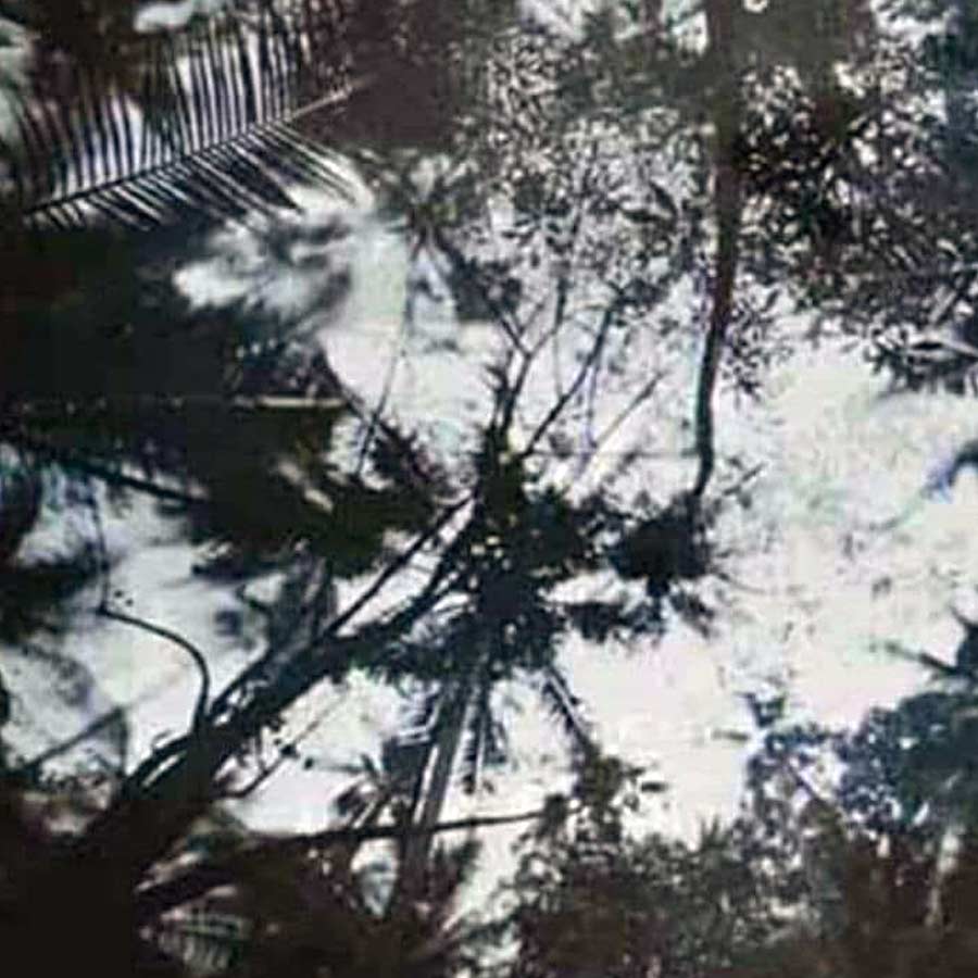 Pranav Lal Became a World-Renowned Photographer