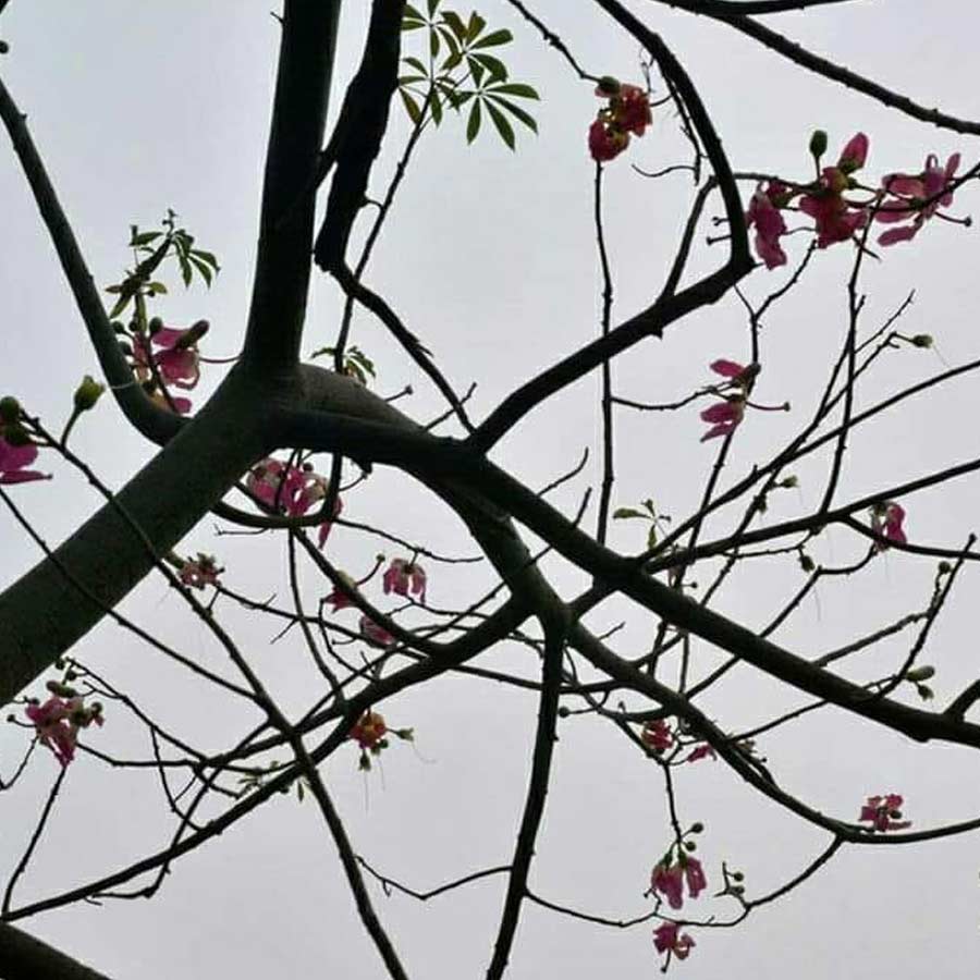 Pranav Lal Became a World-Renowned Photographer