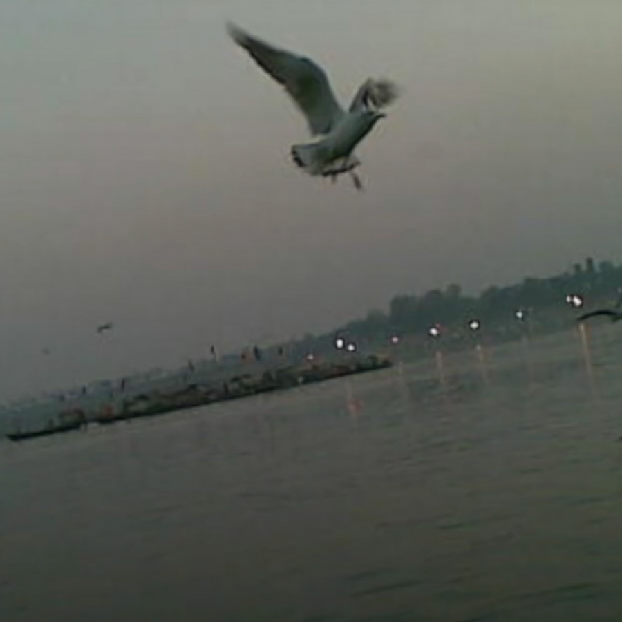 Pranav Lal Became a World-Renowned Photographer