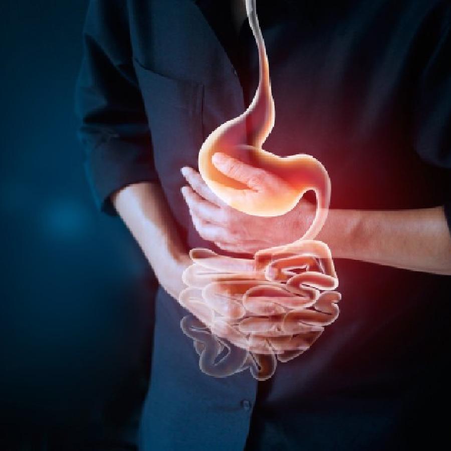 Prebiotics or probiotics, which one is better for gut health dgtl
