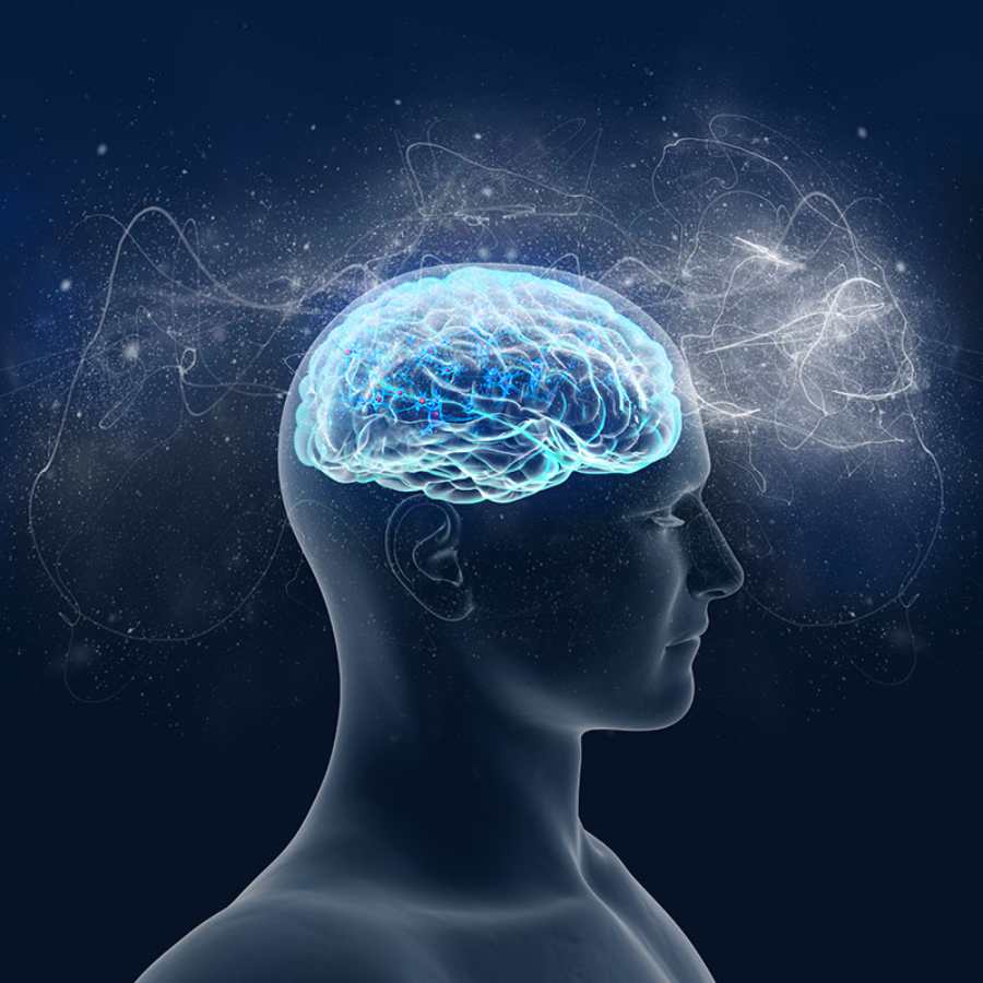 ব্যায়াম করে বুদ্ধি বৃদ্ধি!