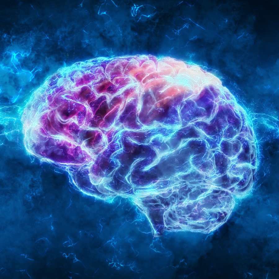 কোনও উপায়ে যদি মস্তিষ্কের ক্ষমতা বাড়িয়ে নেওয়া যায়, তবে নিঃসন্দেহে জীবন সহজ হবে।