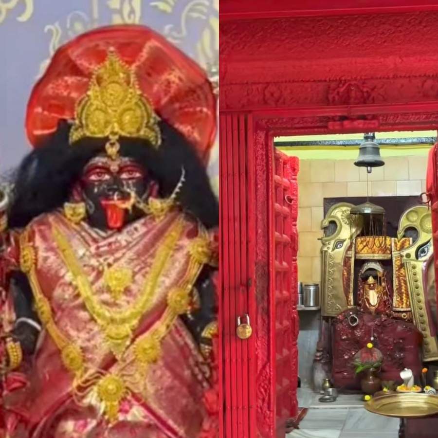 সংগৃহীত চিত্র