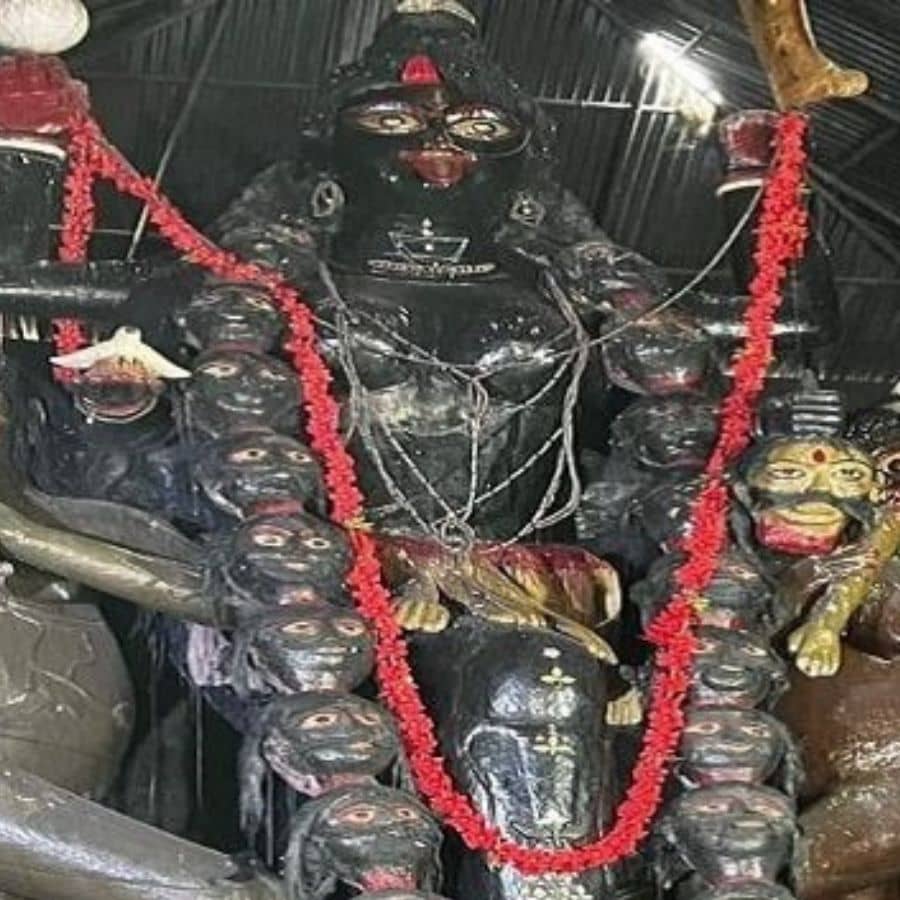 সংগৃহীত চিত্র।