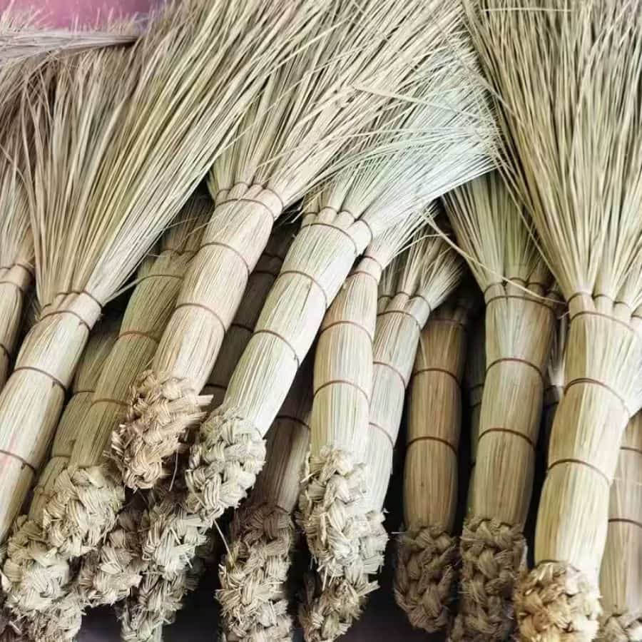 ঝাঁটা কেনা হয়ে থাকে ধনতেরাসের দিন। এটিকে দেবী লক্ষ্মীর প্রতীক হিসেবে বিবেচনা করেন অনেকে। 