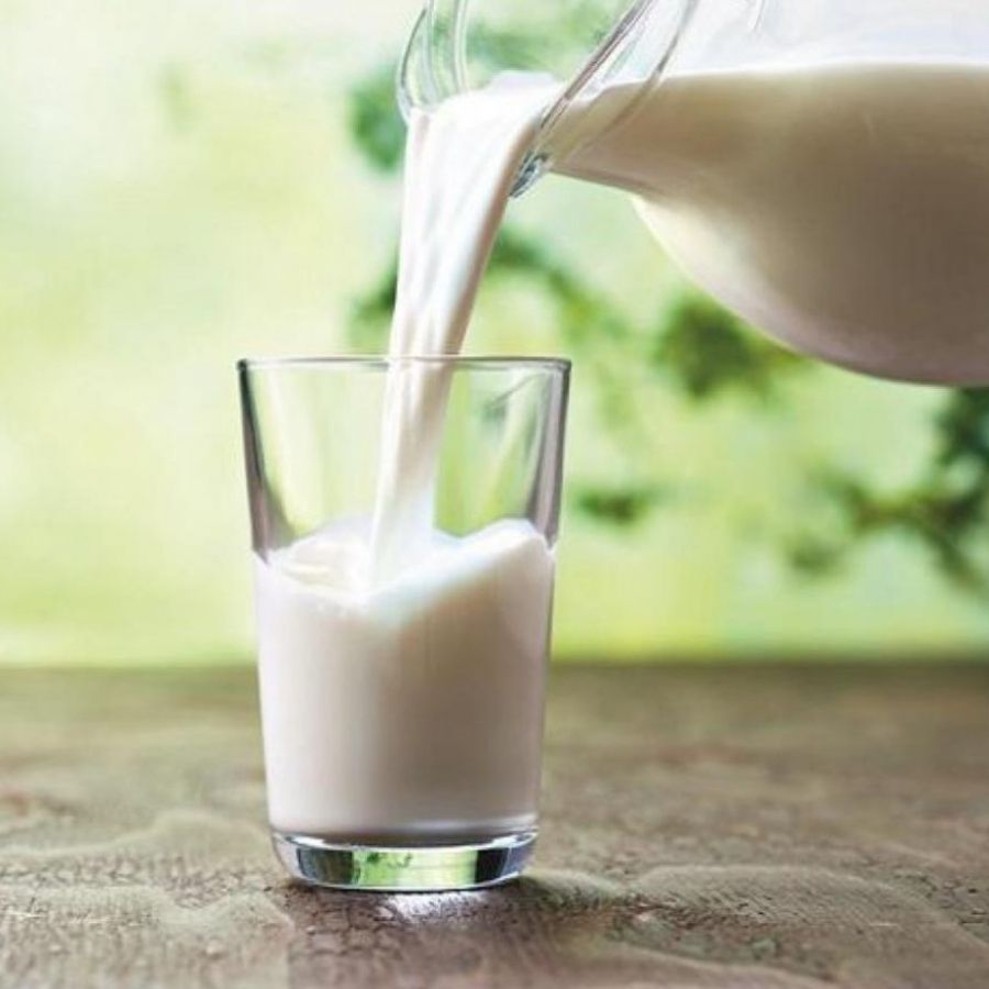 ধনতেরসের দিন দুধ, দই কারও থেকে ধার চাইবেন না। নিজেও দেবেন না। 