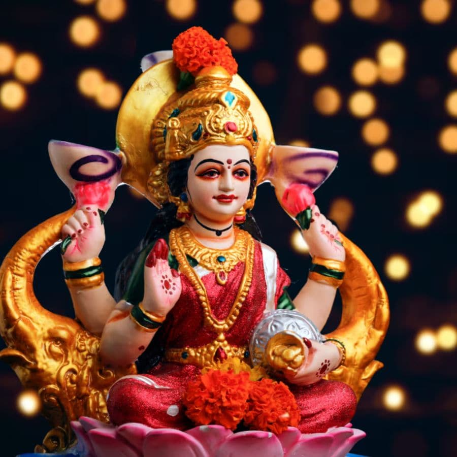 Remedies for dhanteras 2025 dgtl