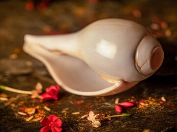 জীবনে সুখ সমৃদ্ধি ফেরাতে চাইলে মোতি শঙ্খের পুজো করুন। তাতে জাফরান দিয়ে তিলক কেটে, লাল কাপড়ে বেঁধে সিন্দুকে রেখে দিন। 