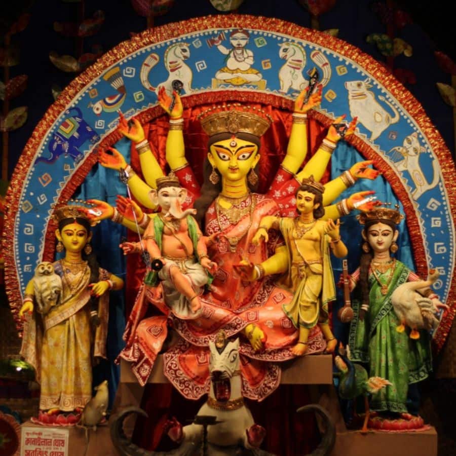 সংগৃহীত চিত্র।