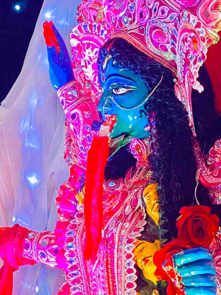 সংগৃহীত চিত্র।