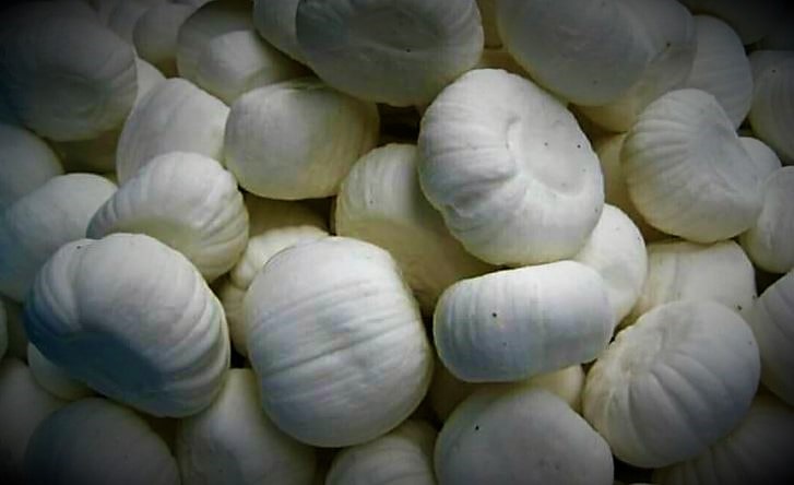 এ বার কালীপুজোয় দোকান থেকে কেনার বদলে বাড়িতেই বানিয়ে ফেলতে পারেন এটি। কী ভাবে? কী কী লাগবে? চলুন সেটাই জেনে নেওয়া যাক। 