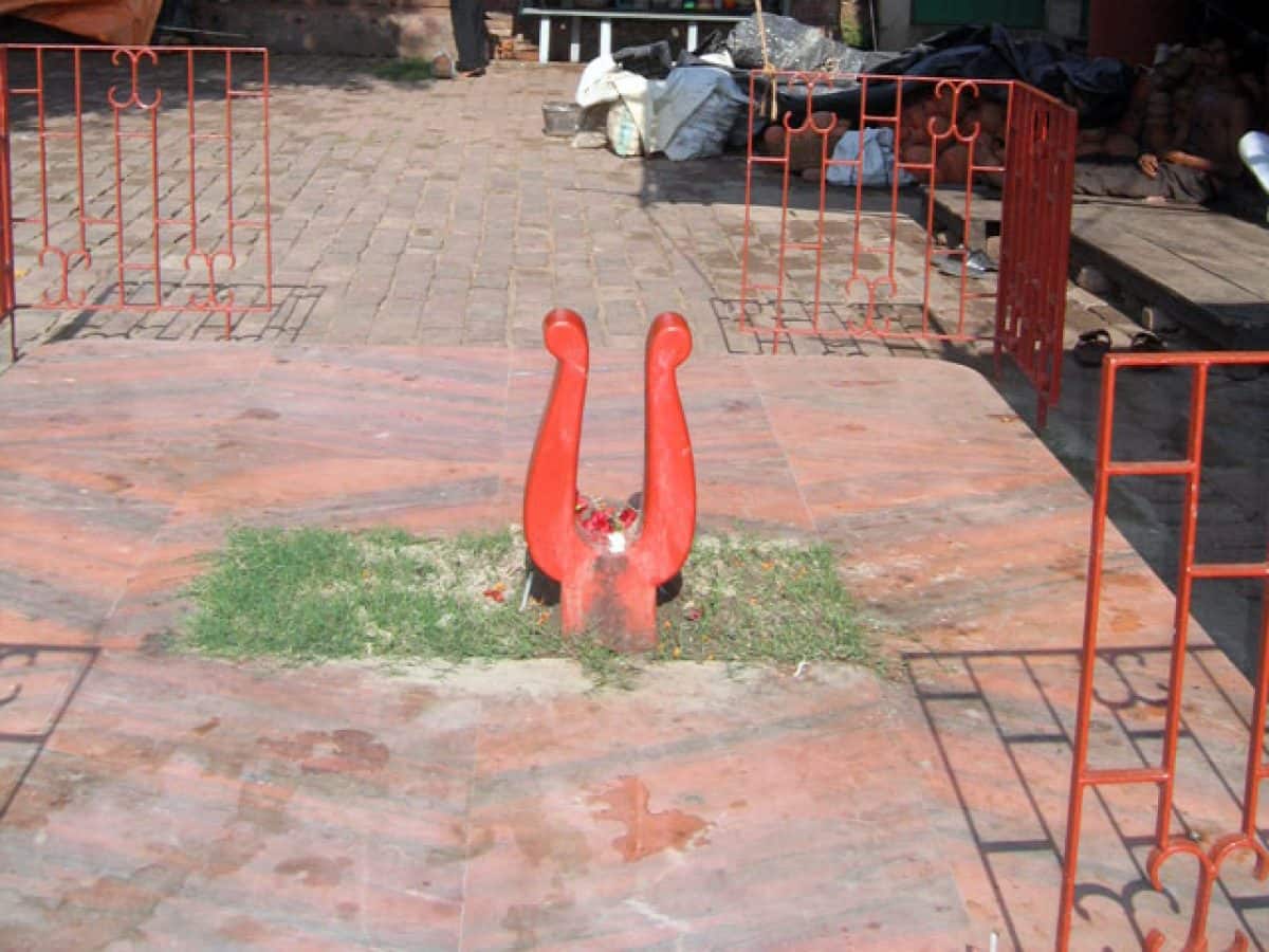 বিন্ধ্যবাসিনী দেবী চামুণ্ডার পুজোতেও বলি এবং মদ উৎসর্গের প্রথা প্রচলিত। 