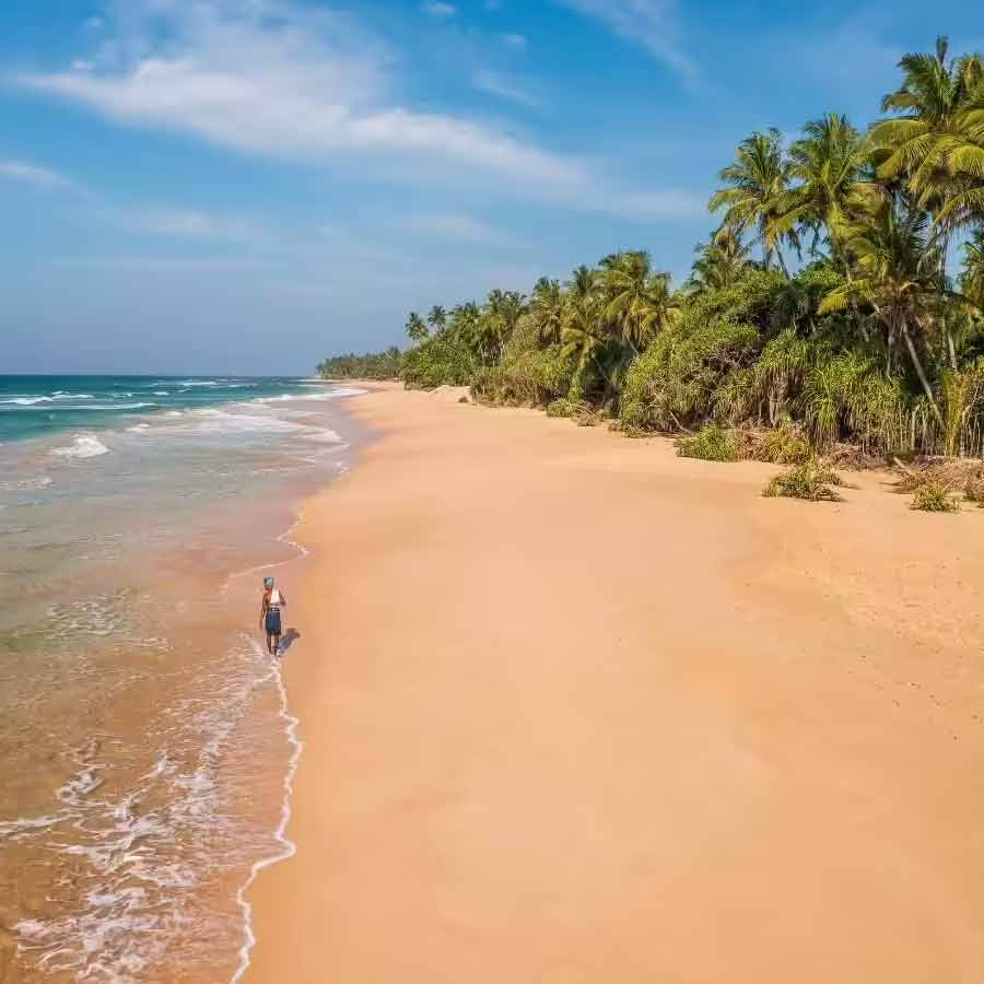 Tamil Nadu CM MK Stalin wants retrieval of Katchatheevu, may cause India Sri Lanka new conflict