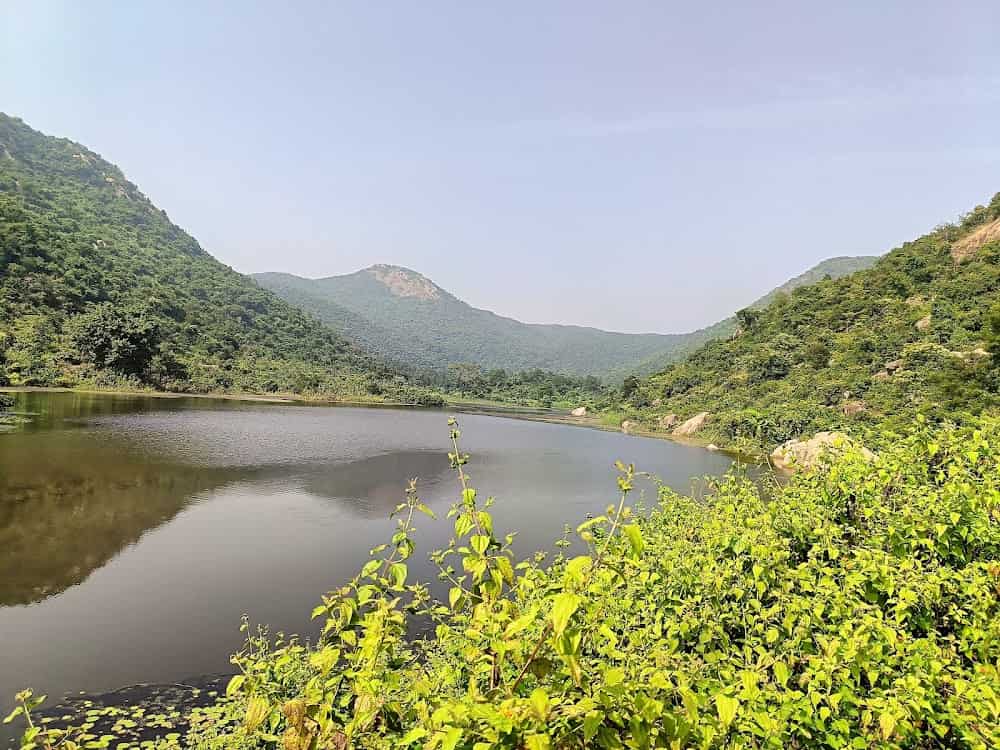 প্রকৃতির কোলে কিছু সময় কাটাতে, আবার ভিড়, শব্দদানবের থেকে দূরে থাকতে চাইলে ফলতা বা রায়চক যেতে পারেন। গঙ্গার ধারে একাধিক বিভিন্ন বাজেটের হোটেল রয়েছে, যার মধ্যে অনেকগুলিই আবার পেট ফ্রেন্ডলি। বাজেট অনুযায়ী হোটেল বুক করে বেরিয়ে পড়ুন। নদীর হাওয়া খেয়ে কটা দিন মনোরম পরিবেশে কাটিয়ে আসুন। 