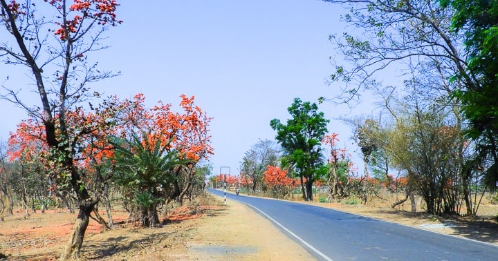 এই সময় পুরুলিয়া থেকেও ঘুরে আসতে পারেন। হালকা শীতের আমেজ গায়ে মেখে পাখি পাহাড়, অযোধ্যা, মুরুগুমা দেখতে ভালই লাগবে। আবার ভিড়ও কম পাবেন। 