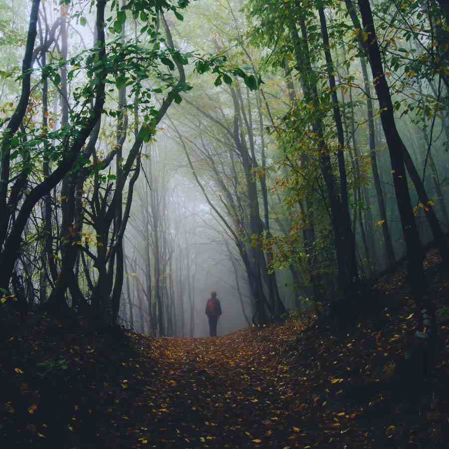 মানব অস্তিত্বের বাইরে ছায়াময়দের জগৎটি ঠিক কেমন, জানতে চান অনেকেই। 