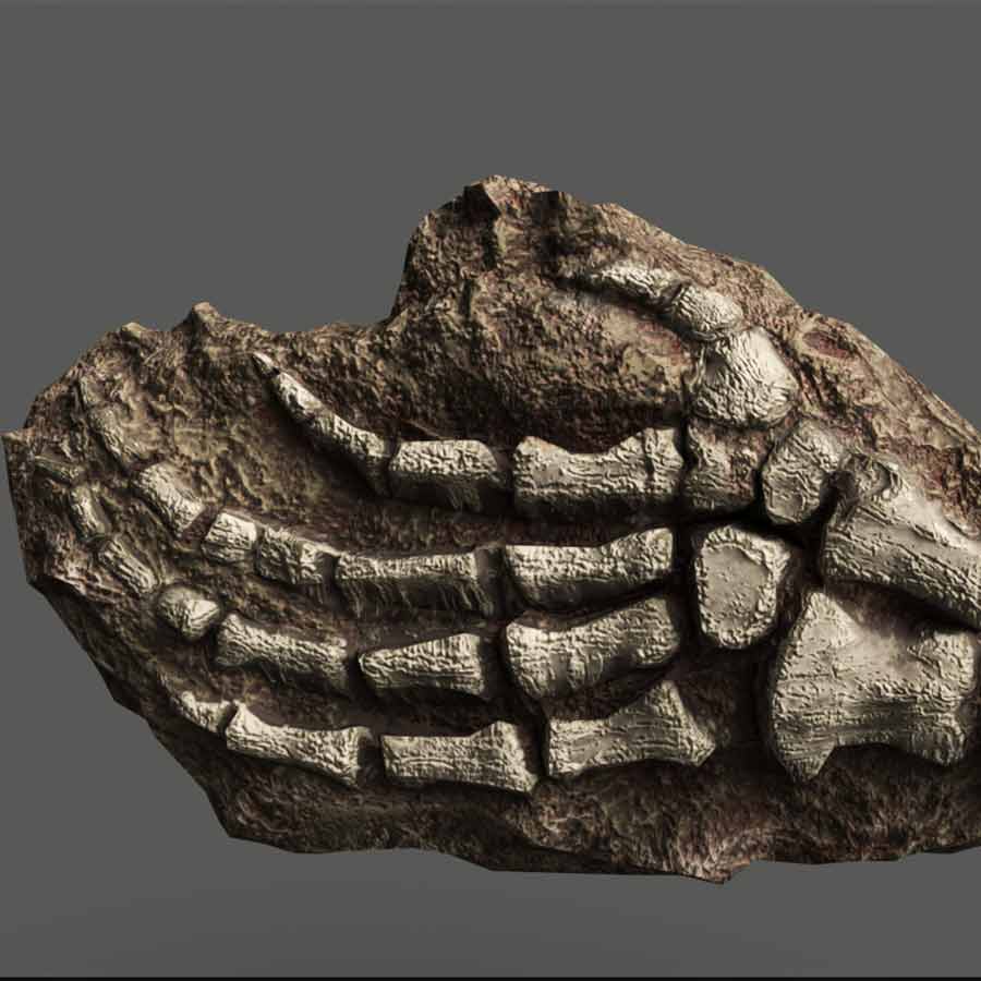 New Fossils found in Kenya reveals surprising details linked to extinct human relative dgtl