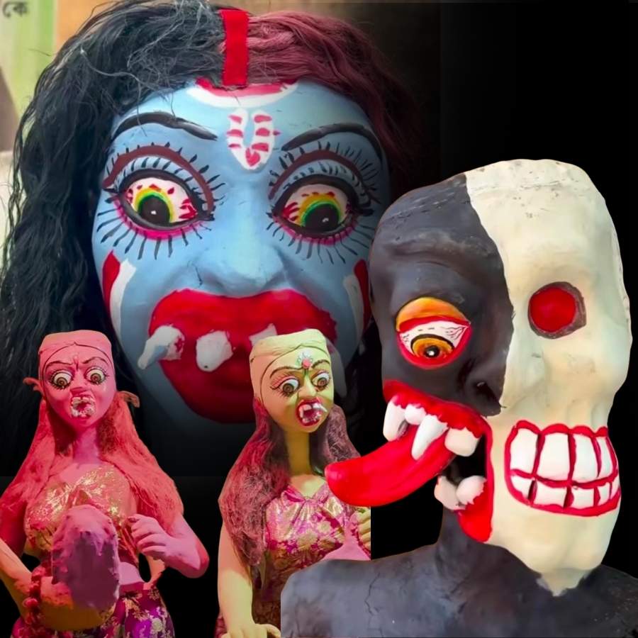 সংগৃহীত চিত্র।