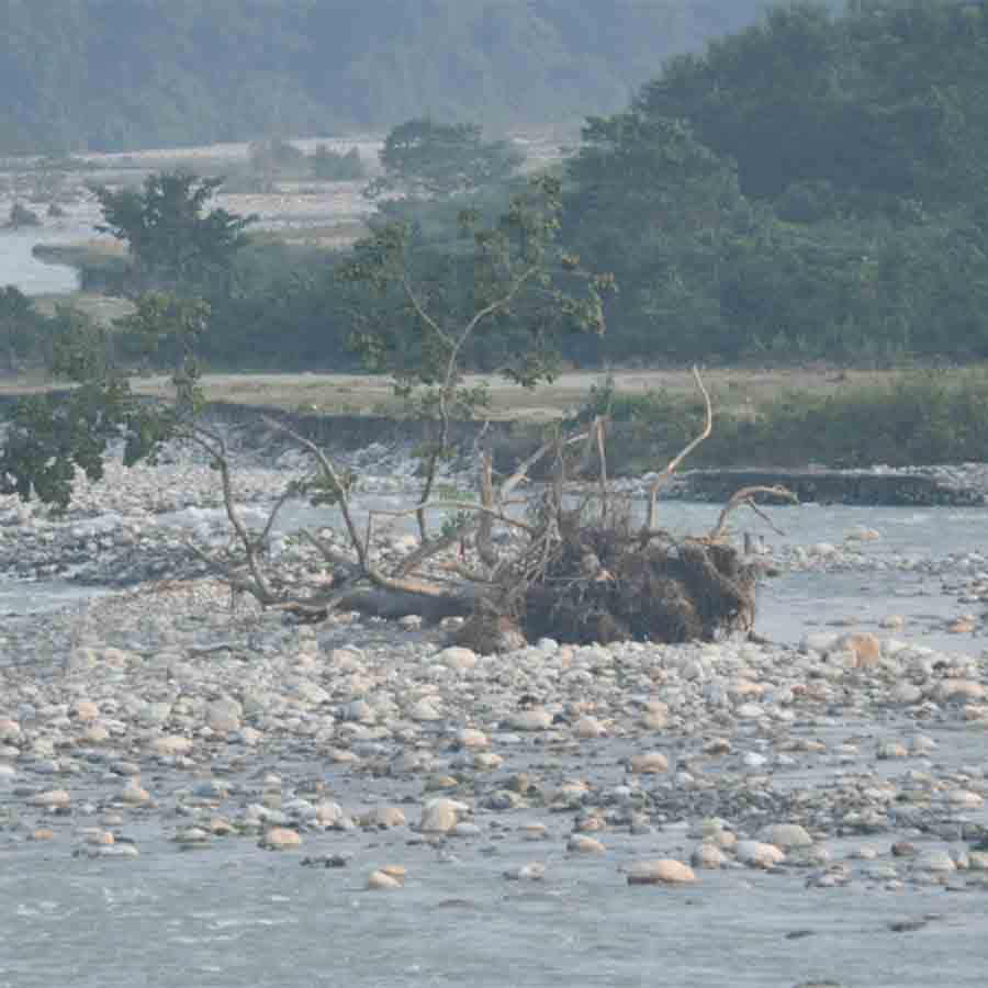 Illegal Sand Mining resulting in overflow of rivers in North Bengal