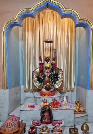 দেবীর মূল বিগ্রহের পাশে অষ্ট ধাতুর তৈরি তাঁরই আরও একটি ছোট্ট মূর্তি রয়েছে। 