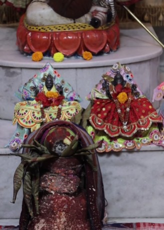 এ ছাড়া, মূল মন্দিরেই রয়েছে রুপোর তৈরি গণেশ ও লক্ষ্মীর মূর্তি। তাঁরাও নিয়মিত পুজো পান। 