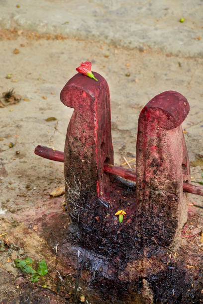 সেই থেকে নরবলি দেওয়া বন্ধ করেন তিনি। 