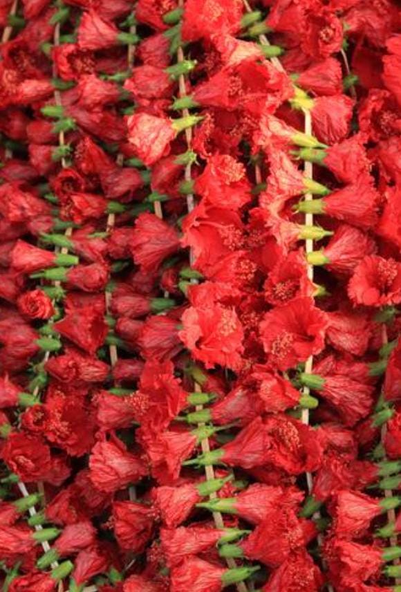 দেবীর আশীর্বাদ পেতে চাইলে কালীপুজোর দিন যে কোনও কালী মন্দিরে আতপ চাল, একটা নারকেল, ১০৮টি জবার মালা এবং ঘি দান করুন। 