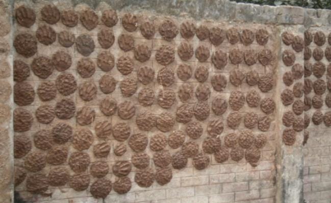 অভক্তি, তাচ্ছিল্য সহকারে অলক্ষ্মী পুজো করা উচিত। ঘি বা তেলের বদলে জ্বালানো উচিত কেরোসিনের প্রদীপ। জ্বালানো উচিত ধূপধুনোর বদলে লঙ্কা, ঘুঁটের ধোঁয়া। 