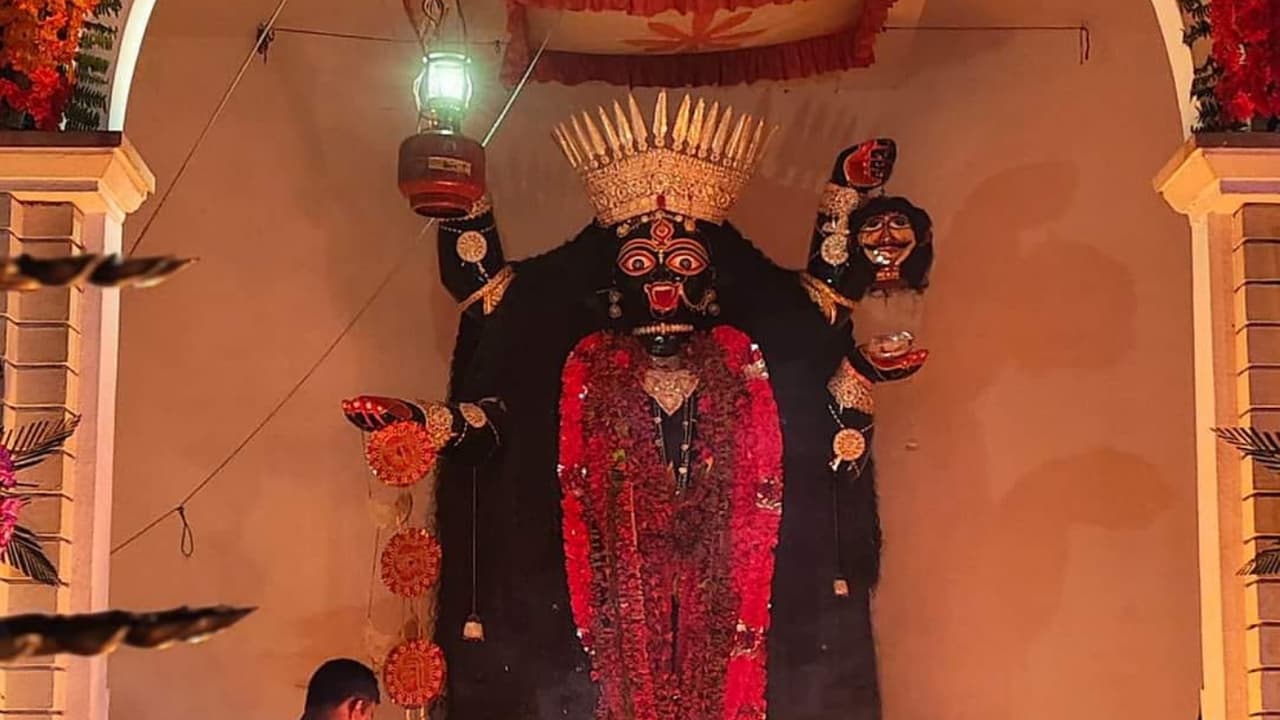 বামা কালীর ঐতিহ্য: ক্লাবের সদস্যরা জানান, বামা কালী শুধু পুজো নয়, এটি একটি ঐতিহ্য। সেই ঐতিহ্য তাঁরা শিলিগুড়িতে তুলে ধরতে চেয়েছেন।