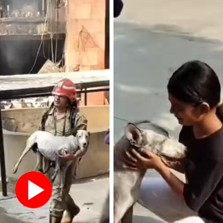Delhi Firefighter Rescues Dog From Massive Fire At Brahmaputra Apartments dgtl