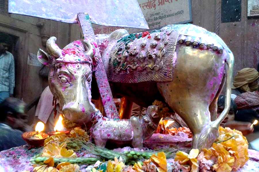 During inspection work What is found from Banke Bihari Temple's treasury