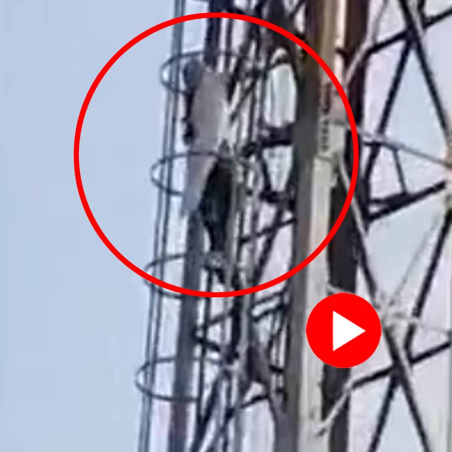 Video of Mirzapur girl climbing tower after mother scolded her for skipping Diwali cleaning dgtl