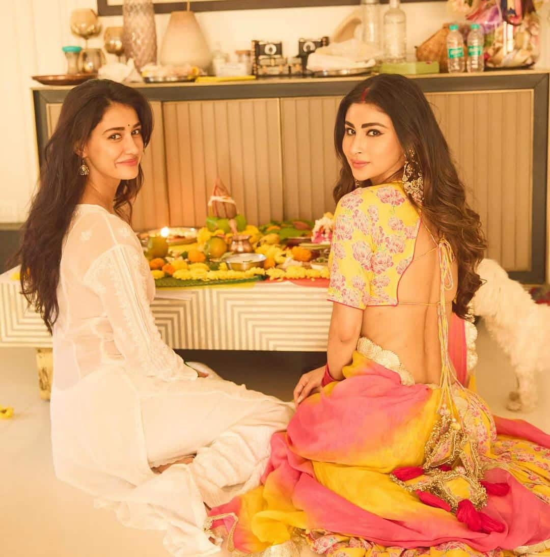  প্রিয় বন্ধুর বাড়িতে পুজো। দিশা পটানি উপস্থিত না থাকলে হয়!