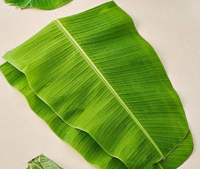 এ বার কলাপাতাগুলো ধুয়ে আগুনে হালকা সেঁকে নিন। 