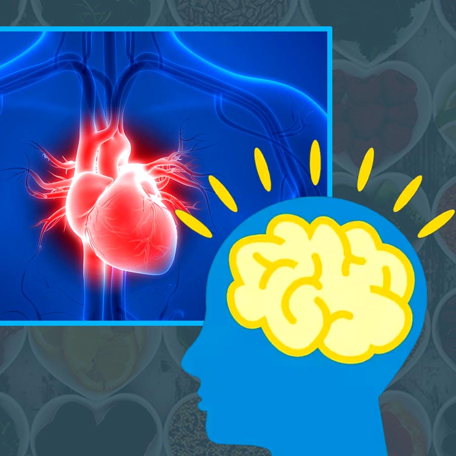 Gastroenterologist recommends adding walnut to daily diet for better brain and heart health dgtl