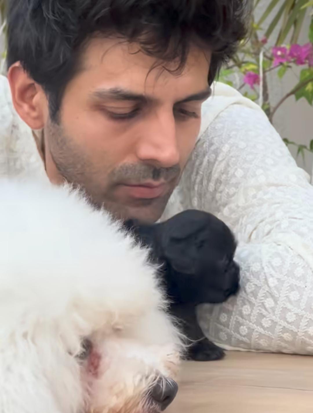 দীপাবলিতে সেরা উপহারটাই যেন পেলেন কার্তিক আরিয়ান। 