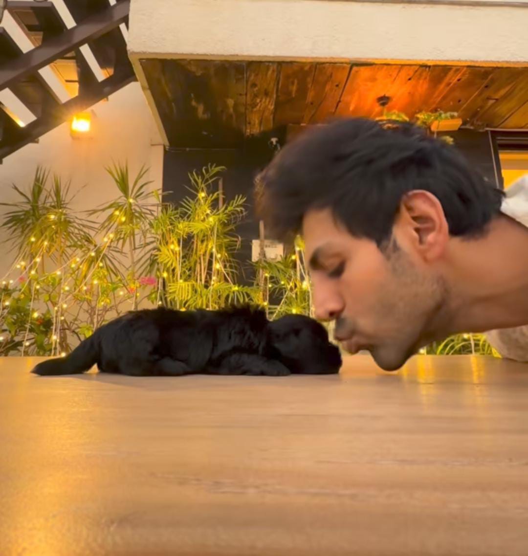 ঘরে এল নতুন সদস্য। অভিনেতার নতুন সারমেয় বন্ধু চাটোরি আরিয়ান।   (এই প্রতিবেদনটি ‘আনন্দ উৎসব’ ফিচারের একটি অংশ।)