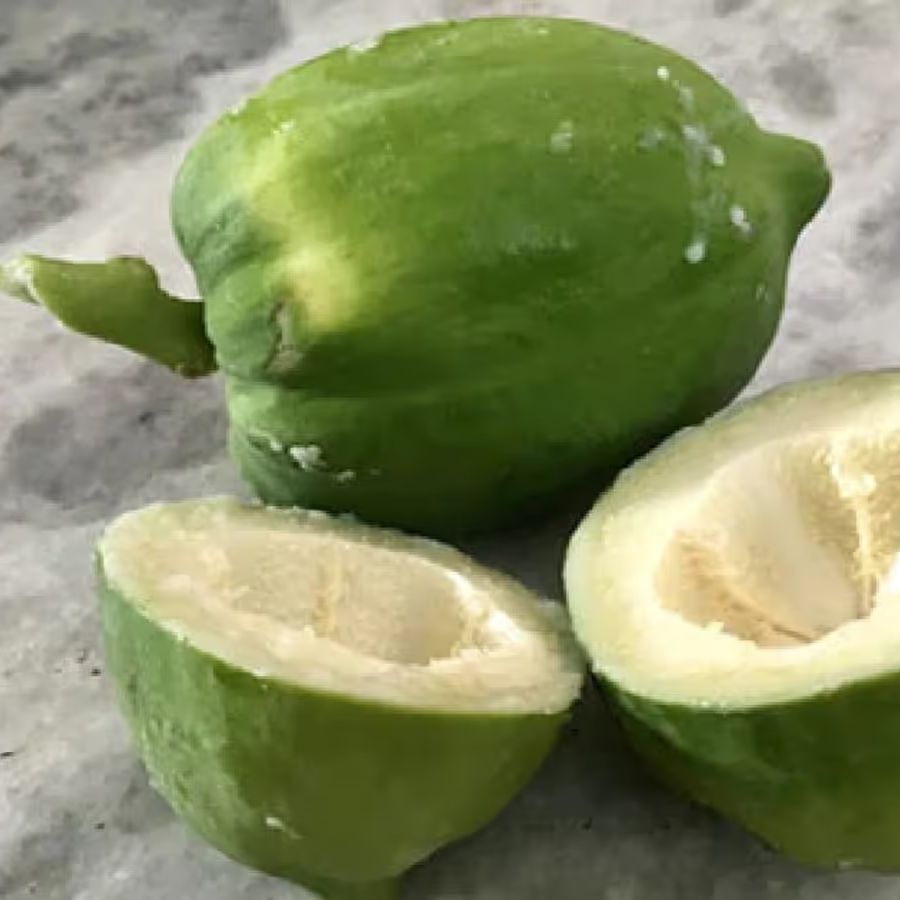 এটি পেট ঠান্ডা করে এবং শরীরকে সতেজ রাখে। 