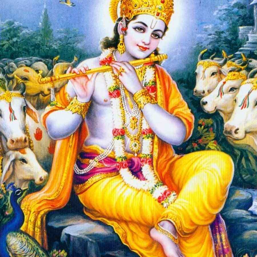 ভীষণ খুশি হন ভ্রাতা শ্রীকৃষ্ণ।