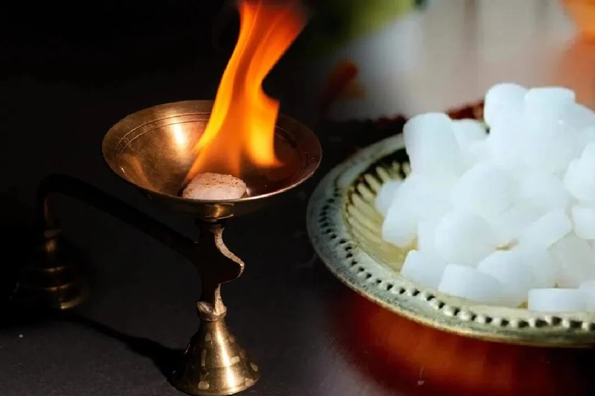 কর্পূরের জাদু: পোকা তাড়ানোর একটি সহজ উপায় হল কর্পূর ব্যবহার! একটি বাটিতে কর্পূর জ্বালিয়ে আলোর কাছে রাখুন। কর্পূরের তীব্র ধোঁয়ায় পোকারা দূরে সরে যাবে।