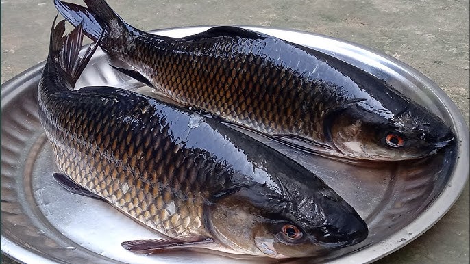 দেবীর বিশেষ ভোগ: সিমলাগড়ের দক্ষিণা কালীর ভোগে থাকে পোনা মাছ। দেবী সন্দেশ খেতে খুব ভালবাসেন। তাই পুজোয় সন্দেশ অবশ্যই থাকে। বর্তমানে কালীপুজোর দিন বিভিন্ন ফল দিয়েও পুজো দেওয়া হয়।