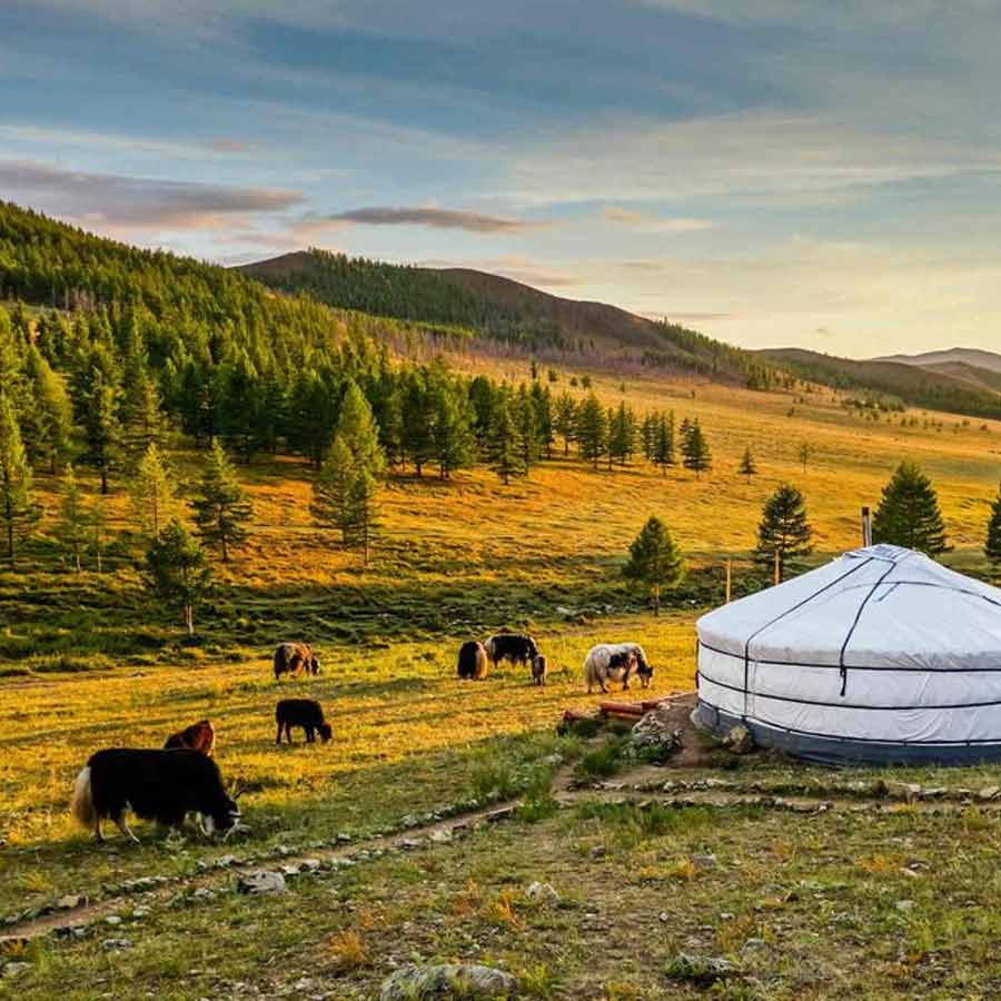 India will train Mongolia’s border security forces, a big strategic win against China 