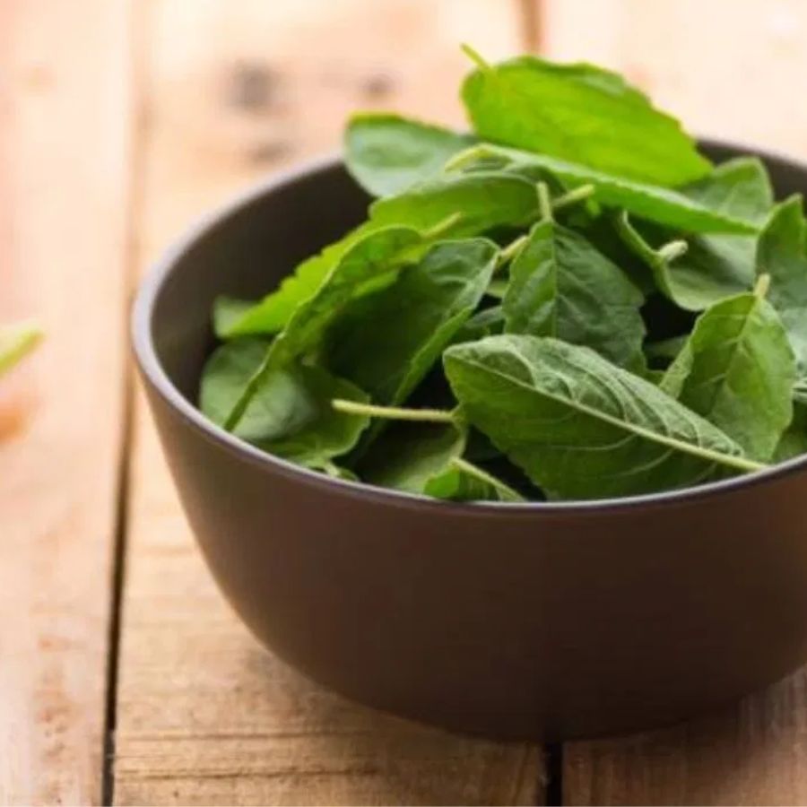 তুলসীর মতো ধন্বন্তরি কি আর কিছু আছে? 