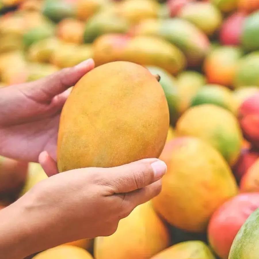 All need to know about Actor Kunal Kapoor and what he does now