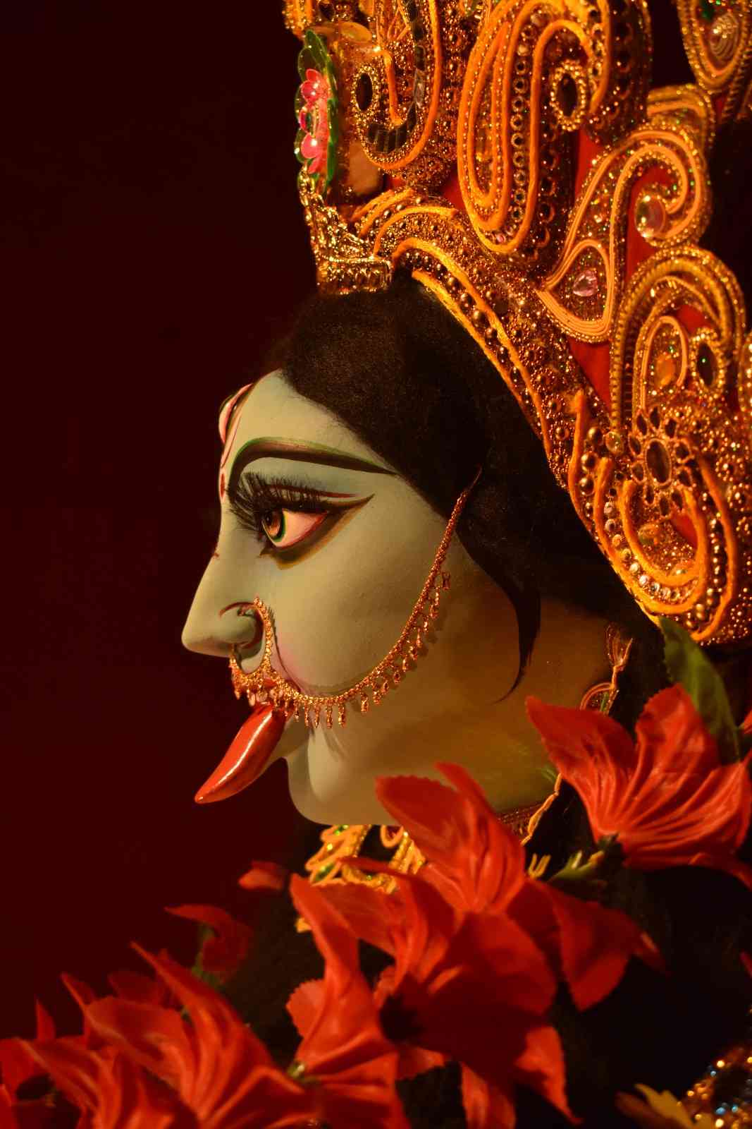 নিজস্ব চিত্র