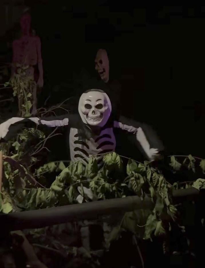 এ বার সেই রোমাঞ্চকেই থিম বানিয়ে রীতিমতো হইচই ফেলে দিয়েছে উত্তর ২৪ পরগণার বিরাটি নীলাচল ভাই ভাই সংঘ। 