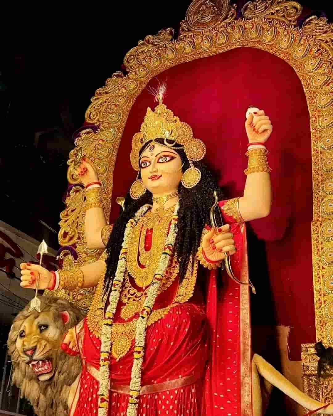 চন্দননগরের অন্যতম বিখ্যাত পুজো হল ‘চন্দননগর হেলাপুকুর সর্বজনীন’। স্বর্ণালঙ্কারে সজ্জিত দেবী এবং বাহন সিংহের থেকে চোখ ফেরানো দায়। চলতি বছর এটিও পূর্ণ করবে ৫৫ বছর।